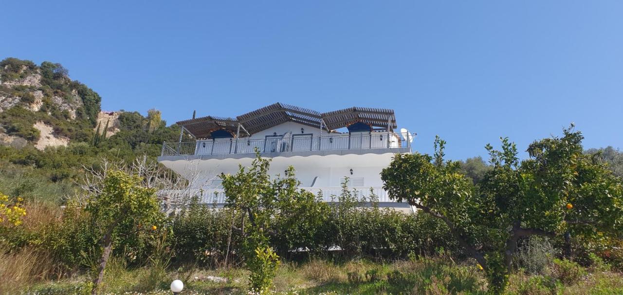 Αrilla Studios Perdika  Exterior photo